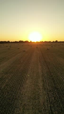 Enjoy a serene aerial view of hay bales scattered across a golden field during sunset. The sun casts a warm glow over the landscape, creating a peaceful atmosphere.