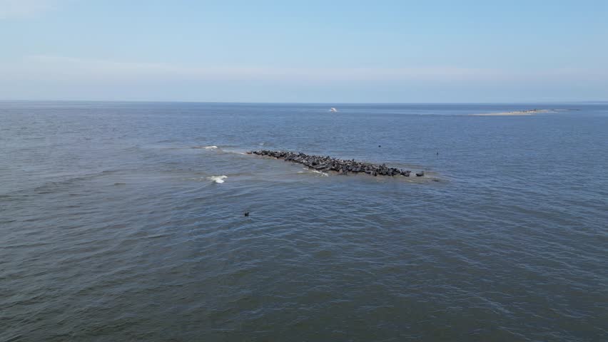 Aerial video showing a large group of seals resting on a small sandbank surrounded by calm sea water. Captured from above with a drone, showcasing marine wildlife in its natural habitat.