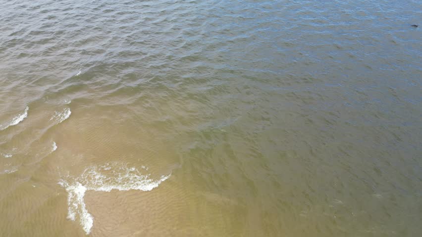 Aerial video showing a large group of seals resting on a small sandbank surrounded by calm sea water. Captured from above with a drone, showcasing marine wildlife in its natural habitat.