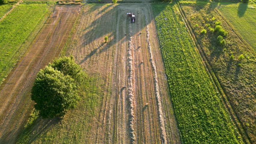 A tractor during summer field work in a field in the Masovian Voivodeship in Poland.