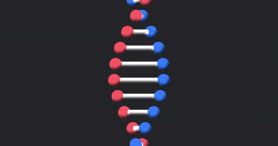 On play 3D DNA helix appearing rotating and translating diagonally HUD widgets visualizing metrics. Datavisualization, analytics, animation, dashboard, charts, graphs, digital
