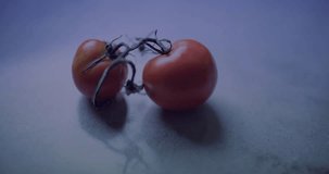 3 vine tomatoes being scanned on INIT. SCANNING, reticle targeting right tomato, measuring ripeness. Fruit, labbench, holographic, futuristic, reflective, dashboard, ui - Powered by Shutterstock - Get 15% off with code: PIKWIZARD15