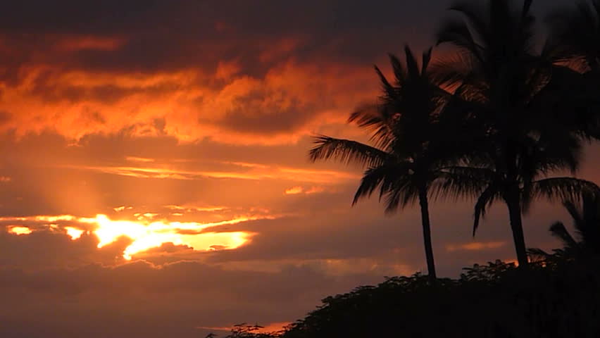 Colorful sunset with palm trees in Hawaii, time lapse.