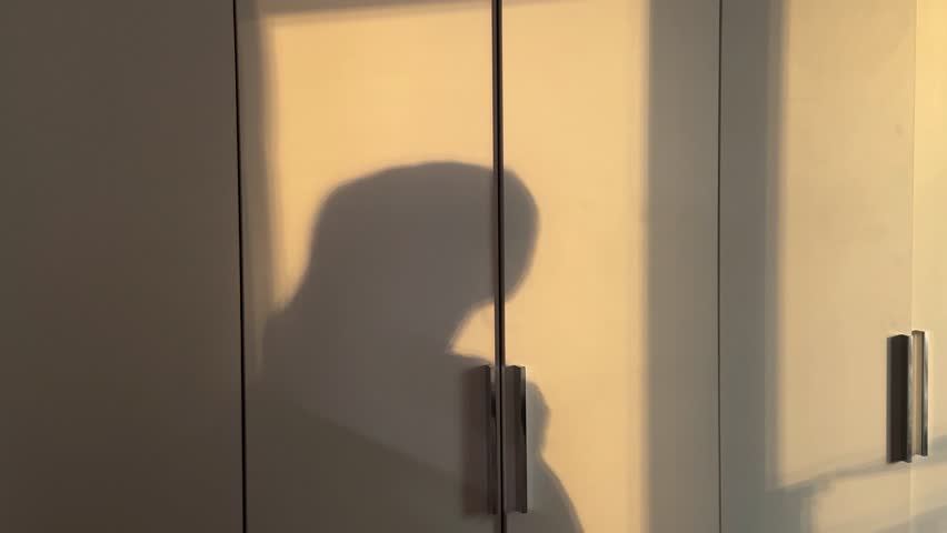 A woman’s shadow appears on a wall in soft evening light, brushing her hair as if in sorrow or reflection. The scene conveys emotions of regret, loneliness, and inner struggle through the gentle silho