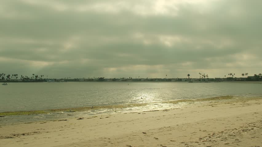Mission bay pacific beach san diego beach with peaceful waters, sand and seagulls and ducks floating in water aesthetic