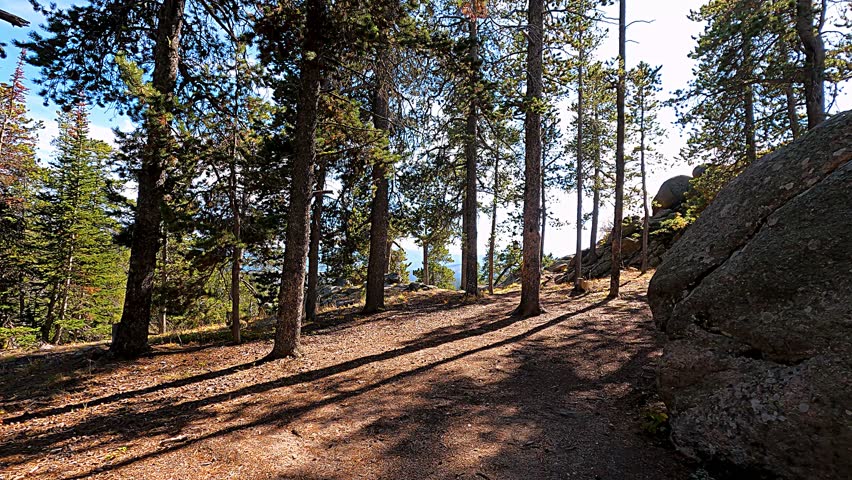 Trees and rocks Bighorn National Forest