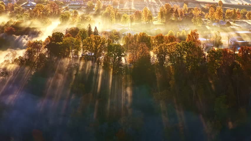 Sunbeams pierce through dense morning forest mist over Sigulda, Latvia during sunrise golden hour glow