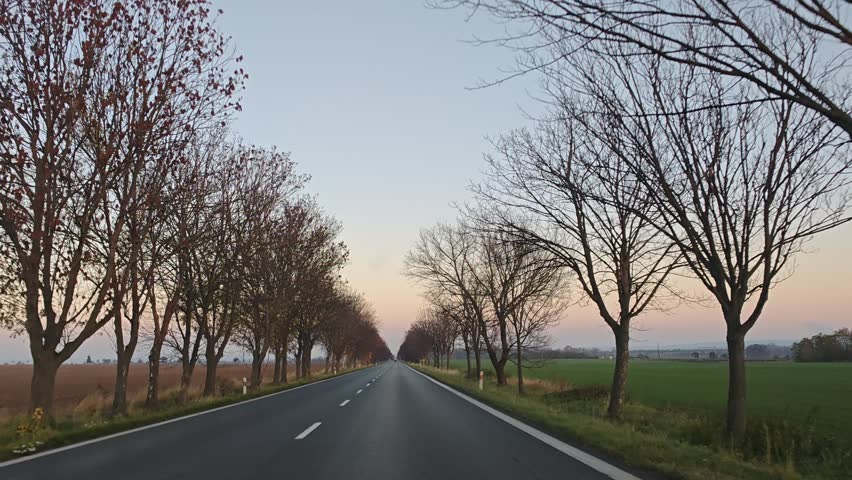 A peaceful motorcycle ride on a wet speedway in the evening after rain. Moody autumn colors, wet asphalt, and atmospheric twilight create a cinematic scene.