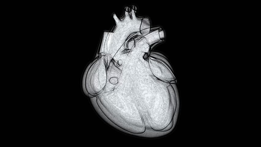 Medical animation of a beating human heart with a black and white pencil sketch aesthetic on an isolated black background