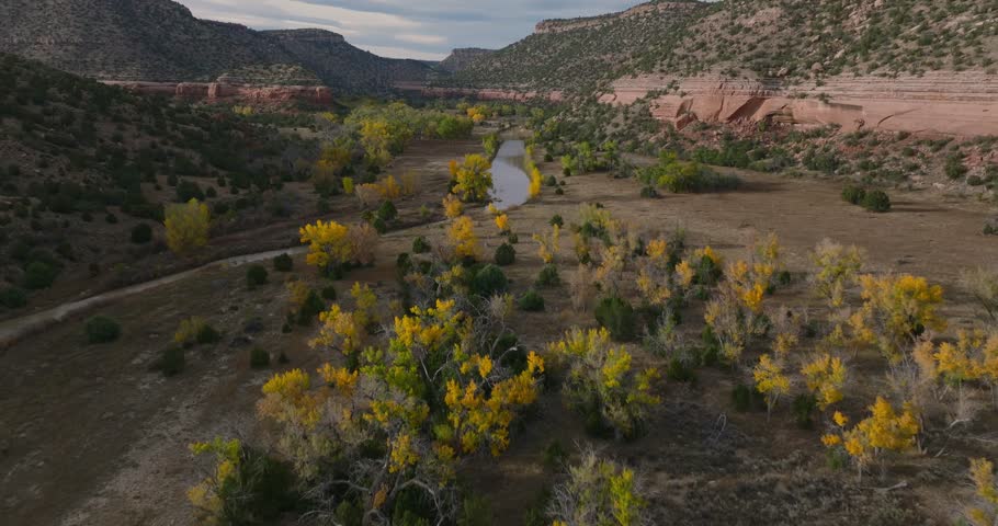 Aerial view of Mills Canyon, New Mexico in fall with vibrant foliage