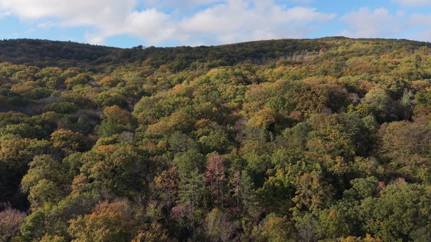 Aerial drone footage of a wide forested hill with colorful autumn trees under blue sky. Perfect for nature, travel, climate, tourism, and seasonal video projects.