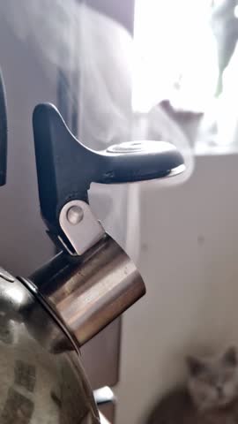 Vertical, close-up of steam steadily rising from a silver whistling kettle spout. Hot water is boiling inside on a stove, with a bright kitchen background and natural light from a window.