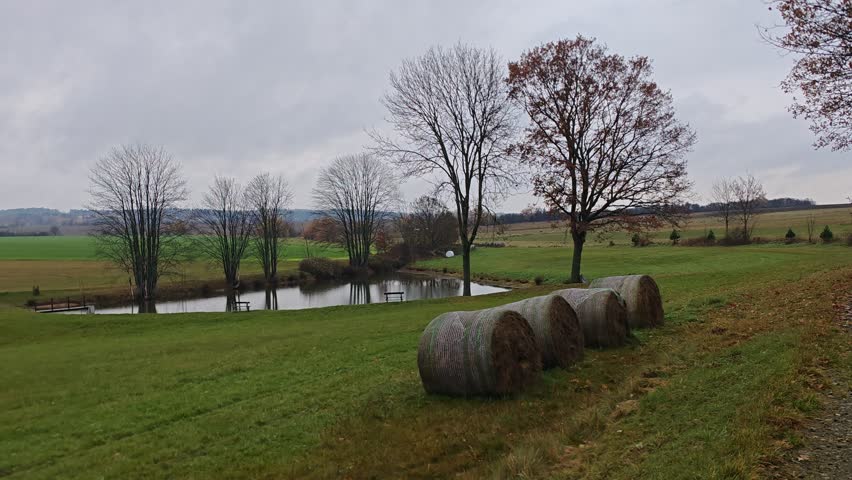Baled hay Baled hay on a harvested field with a traileon a harvested field with a trailer truck ready for transport under cloudy, wet, and gloomy autumn skies. Rural farming scene in seasonal weather