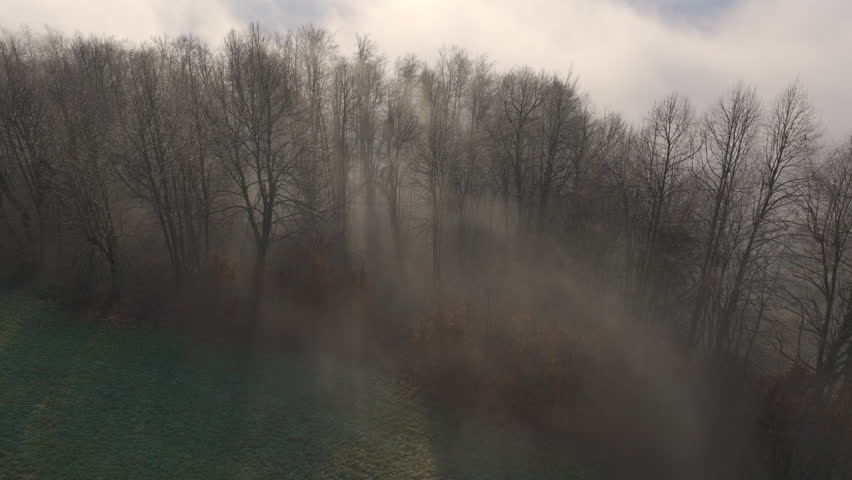 AERIAL: Sunlight pierces through fog and bare trees in a misty winter forest. Soft rays of morning sun illuminate frosty branches and woodland floor, forming a quiet and peaceful winter atmosphere.