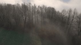 AERIAL: Sunlight pierces through fog and bare trees in a misty winter forest. Soft rays of morning sun illuminate frosty branches and woodland floor, forming a quiet and peaceful winter atmosphere. - Powered by Shutterstock - Get 15% off with code: PIKWIZARD15