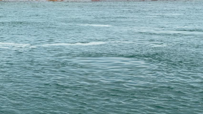 A calming shot of gentle ocean waves in soft motion, capturing the rhythmic flow of water against the shore