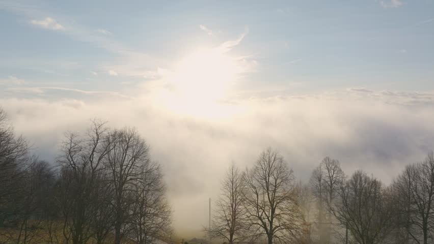 AERIAL, LENS FLARE: Bright sunlight illuminates bare treetops on the hillside that peek above layer of morning fog. Soft morning mist and warm light create calm and peaceful scene high above hills. - Powered by Shutterstock - Get 15% off with code: PIKWIZARD15