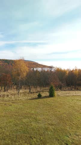 A drone vertical shot of a hilly autumn forest landscape shrouded in fog and low clouds under blue, white sky in the Czech Republic