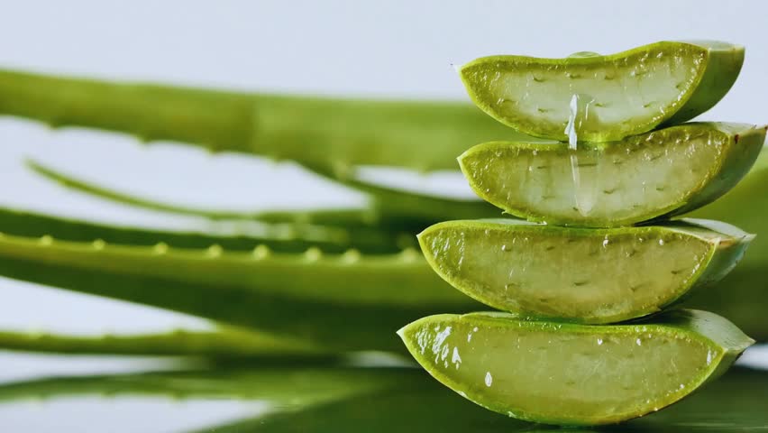 Fresh Aloe Vera leaves with natural gel, a powerful herbal remedy for skincare, healing, and beauty. Perfect for wellness, organic cosmetics, and natural medicine concepts.