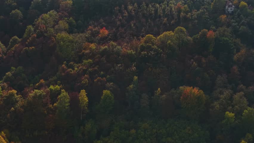 Aerial View of Mountain Village on Sunny Autumn Morning, Smoke and Homes in Colorful Forest