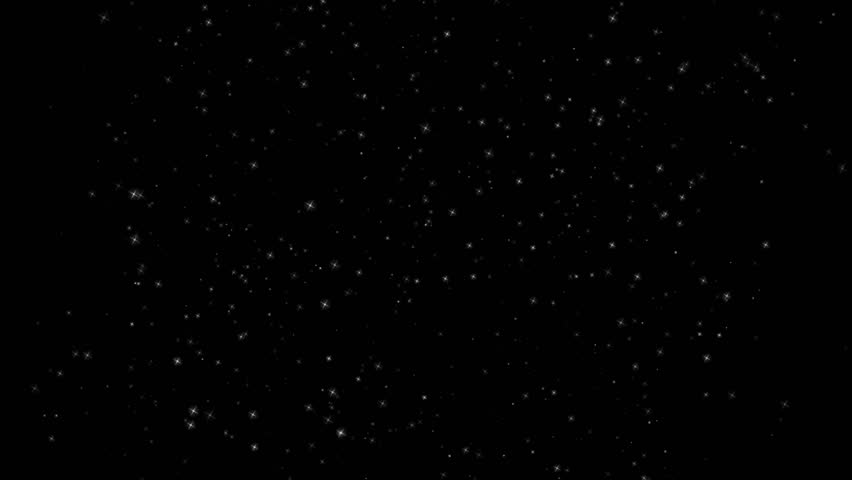 Black and Red Modern Black Friday Sale Video