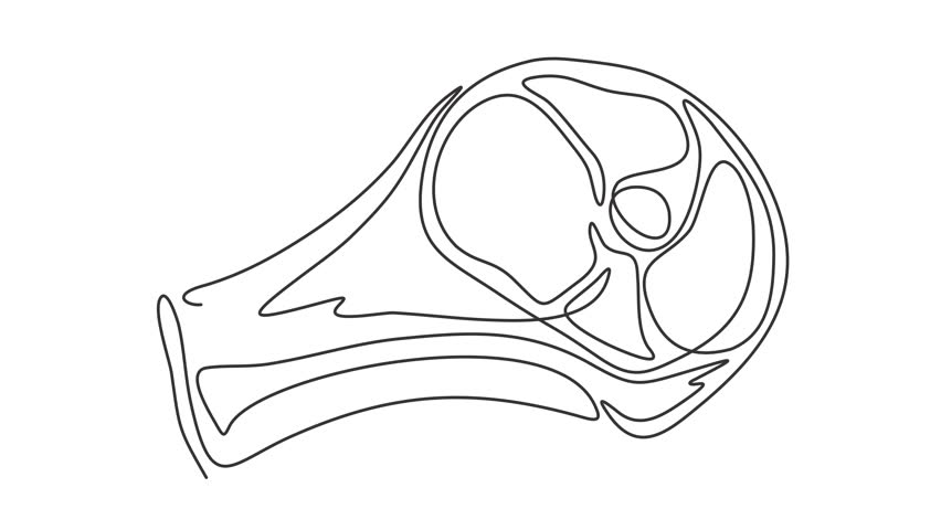 Animated self drawing of continuous line draw of Steak of veal, pork, beef, veal, meat on the bone. Full length one line animation. 4K	
