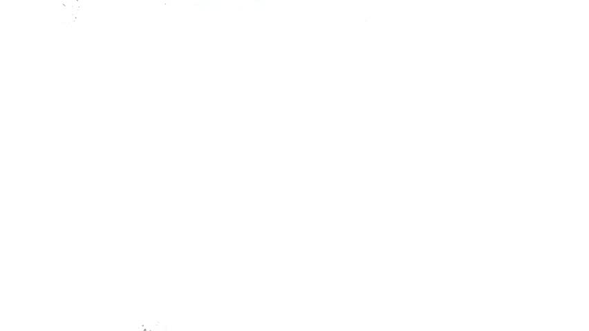 Red and White Black Friday Sale Video