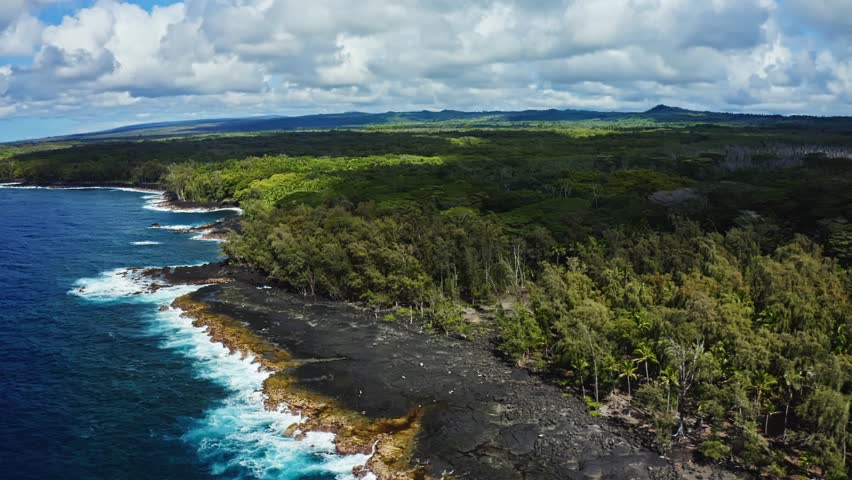 Black volcanic rock meets the turquoise edge of the Pacific as Hawaii’s dense tropical forest stretches inland, revealing the striking contrast between ancient lava and thriving green life.