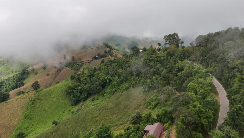 Beautiful morning landscape of mountains covered with mist and soft sunlight. The fog drifts gently across the peaks, creating a calm and dreamy atmosphere.