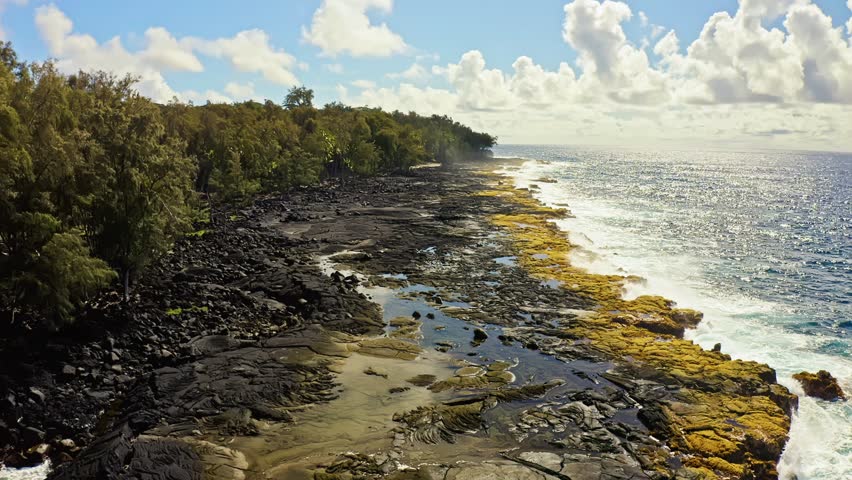 Along Hawaii’s sunlit coast, golden tide pools shimmer across black volcanic rock, bordered by lush tropical forest and the endless blue expanse of the Pacific Ocean.