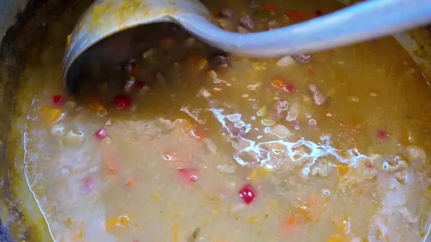 Large pot of homemade meat and vegetable stew simmering on the stove