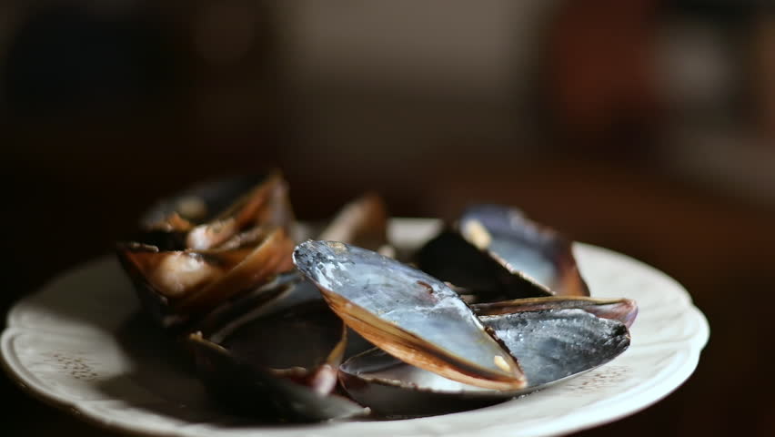 Mytilus Edulis Shells After a Delicious Meal