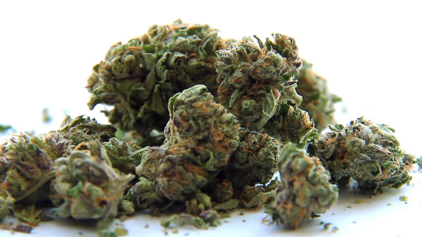 Medical Marijuana 5. Medical marijuana set against white, rack focus from blurry