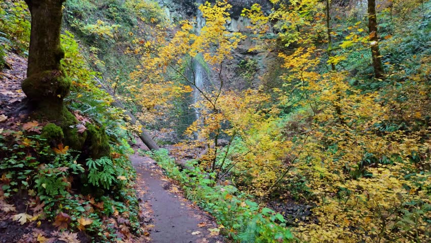 A picturesque view of the unique Double Falls, a two-tiered waterfall where the upper cascade pours into a lower amphitheater, surrounded by vibrant autumn foliage at Silver Falls State Park