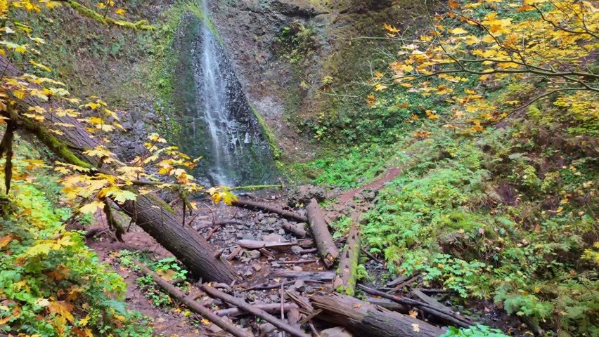 A picturesque view of the unique Double Falls, a two-tiered waterfall where the upper cascade pours into a lower amphitheater, surrounded by vibrant autumn foliage at Silver Falls State Park