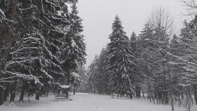 In winter, the ground, gazebos and trees in the park are covered with snow. A path has been trampled in the snowdrifts next to benches and lampposts. Cloudy weather and gray skies. Snow is falling - Powered by Shutterstock - Get 15% off with code: PIKWIZARD15