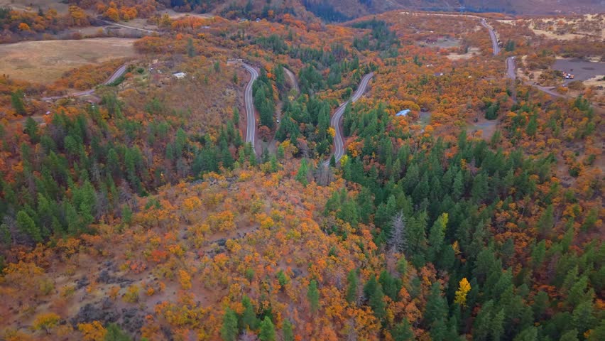 A sweeping aerial panorama of lush forest-covered hills in Oregon, displaying vibrant autumn foliage with a scenic road winding gracefully through the landscape