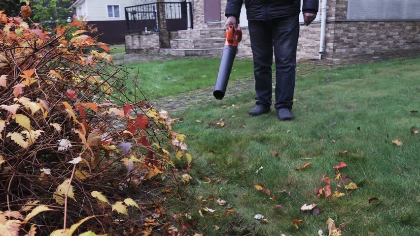 Cleaning view of cordless leaf blower, removing leaves from grass, front view. High quality 4k footage