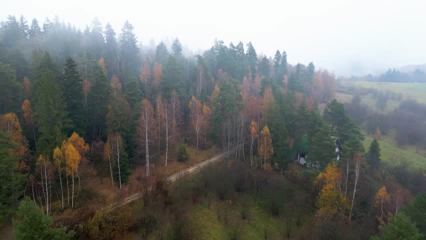 Dense Mixed Autumn Forest Shrouded in Thick Morning Fog and Mist. Rabka-Zdrój, Poland