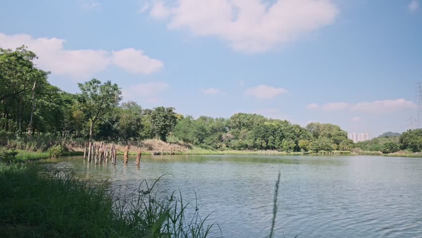 A Cinematic Wide-Angle Landscape of a Wetland Park, Featuring Rippling Lake Water, Green Grassland, Distant Mountains, and Blue Sky (ProRes 422)