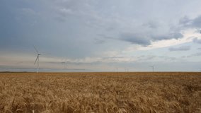 Dark storm clouds over swaying wheat with wind turbines - Powered by Shutterstock - Get 15% off with code: PIKWIZARD15