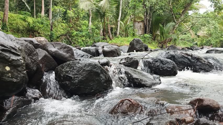 Rushing River Through Lush Forest