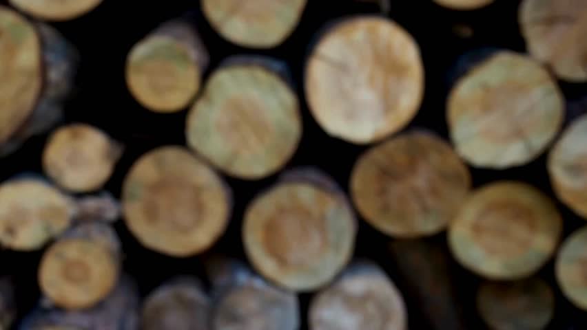 heating season. Pile of firewood. Lot of Dry Branches, Logs, and Firewood Lie in a Heap in the Forest Nature. Logs of firewood stacked in boxes.