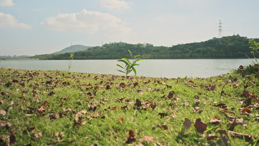 A Cinematic Wide-Angle Landscape of a Wetland Park, Featuring Rippling Lake Water, Green Grassland, Distant Mountains, and Blue Sky (ProRes 422)