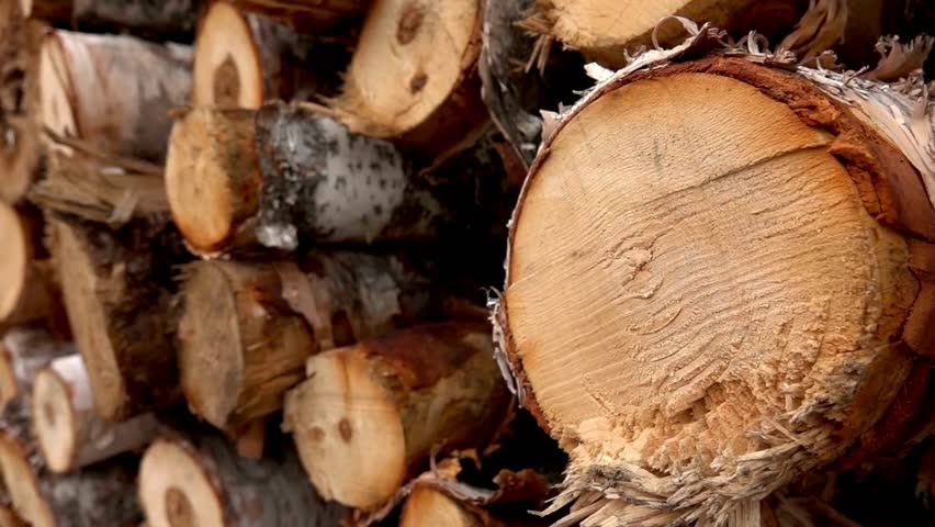 Chopped firewood pile on the green grass. A stack of chopped firewood stacked outdoors. Heating the house in winter with logs. High quality 4k footage