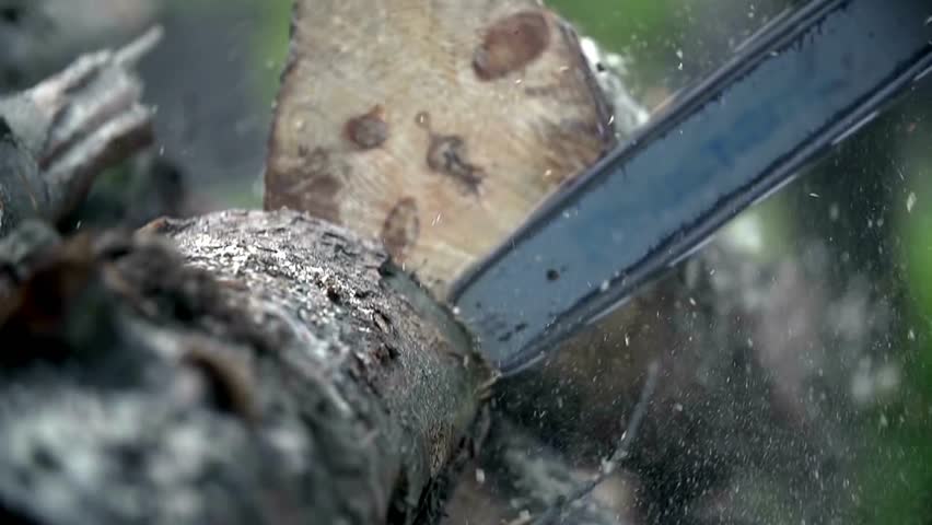 Woodcutter with Chainsaw on forest work. Worker cuts down a tree, A lumberjack in protective gear with a chainsaw cutting trees in the forest.