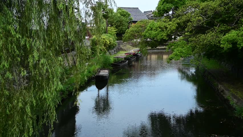 Hachiman-bori canal on a summer morning (Omihachiman, Shiga, 2025, Aug.)