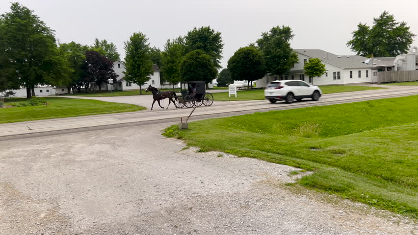 Traditional Amish Horse and Buggy Driving on the Road in Arthur, Illinois, USA - the heart of Illinois Amish country.