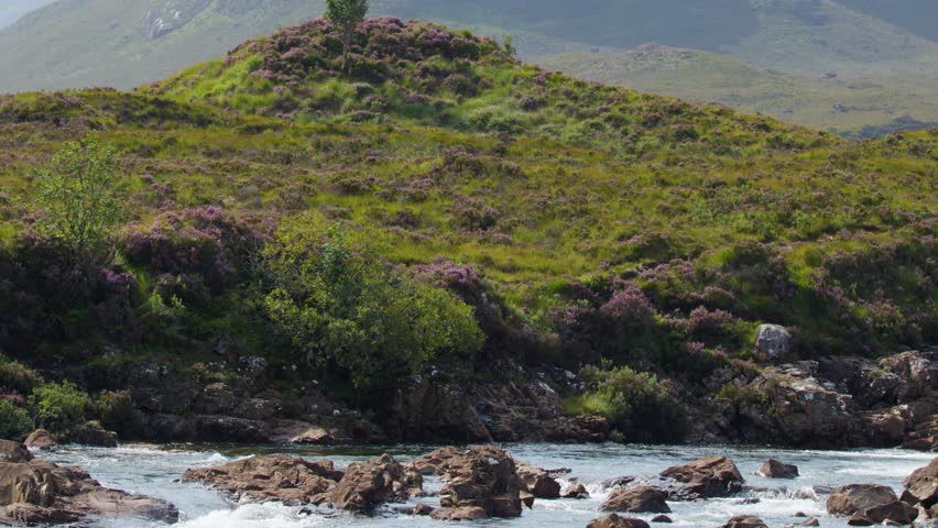 Clear river flows over rocks through green hills, wildflowers, and distant mountains under daylight