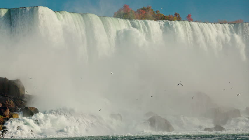 Massive waterfall plunging with mist and flying birds on a sunny day at Niagara Falls with autumn trees above. High quality 4k footage